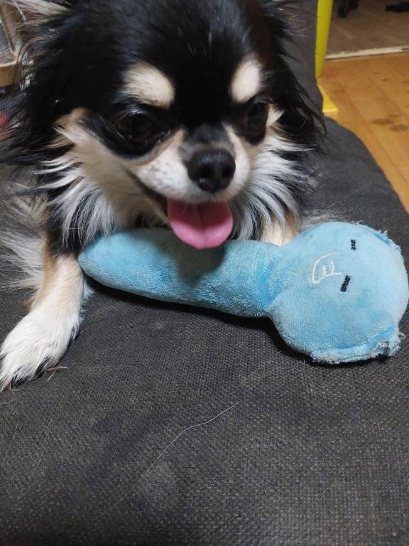 なみ（マダム　スタイル(サンライズグループ)	）