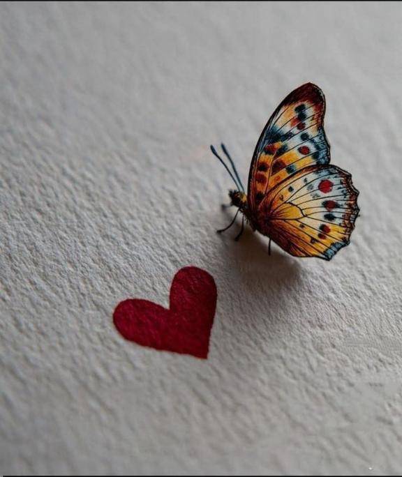 お疲れ様です🌟