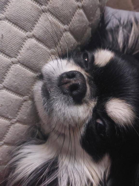 体調不良でした🫠