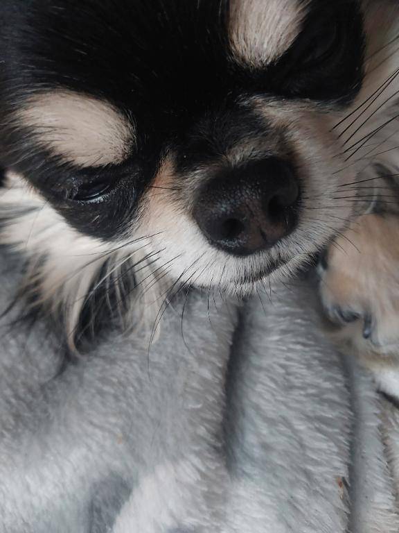 [お題]from:レッドキャッスルさん