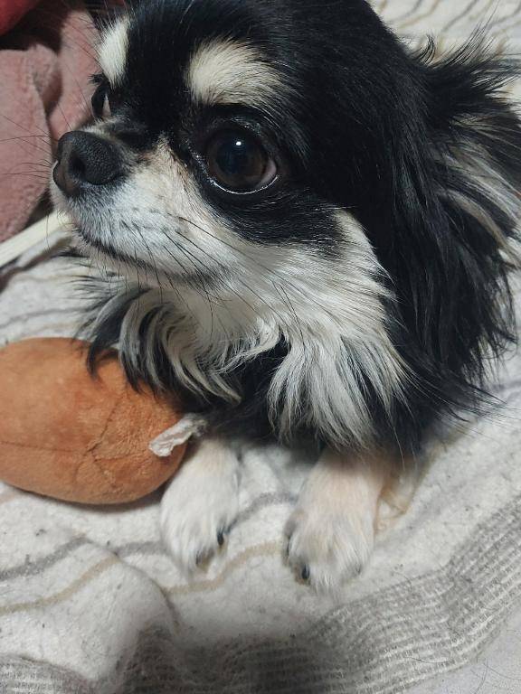 生理休暇に入ります(❁´ω`❁)