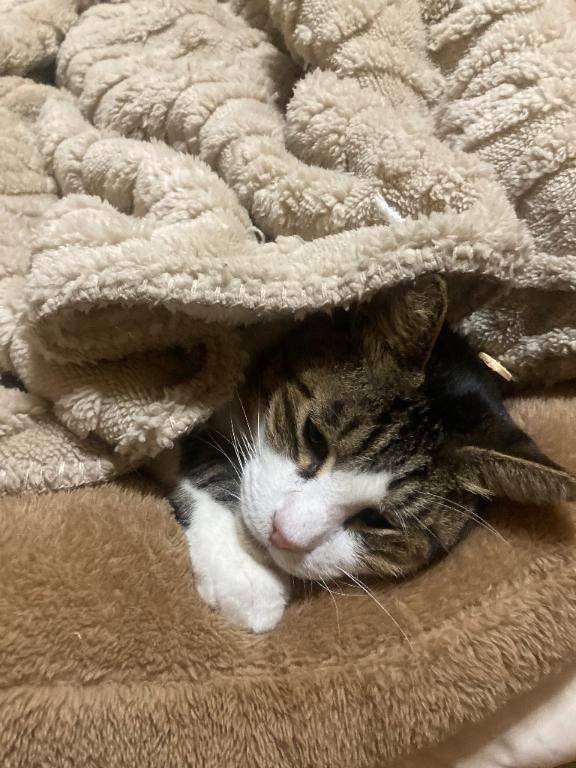 ファインの御紳士さまへ😌