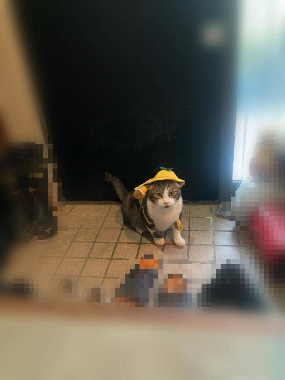 まだかなぁ〜っ🫡💦