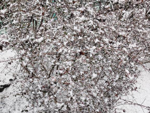 お疲れ様です🌟