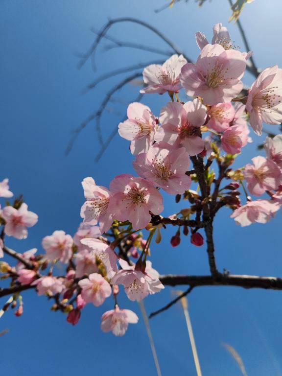 本日出勤します✨