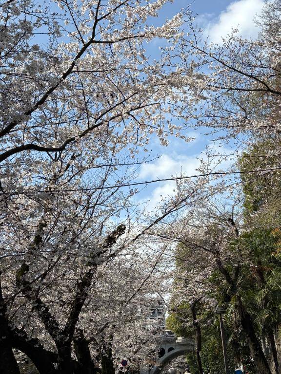 ご無沙汰しております(*^^*)