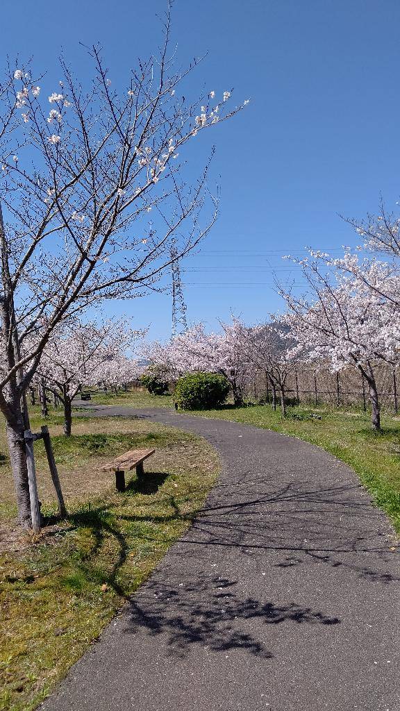 れいわ(マダム スタイル(サンライズグループ) )