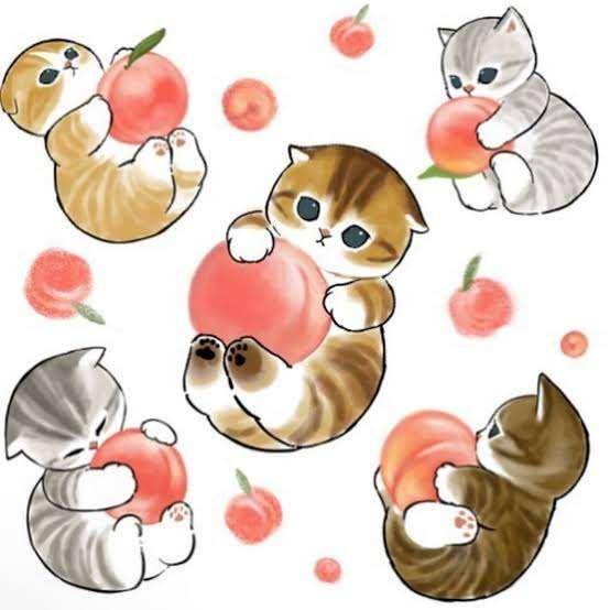 22日☂️このあと