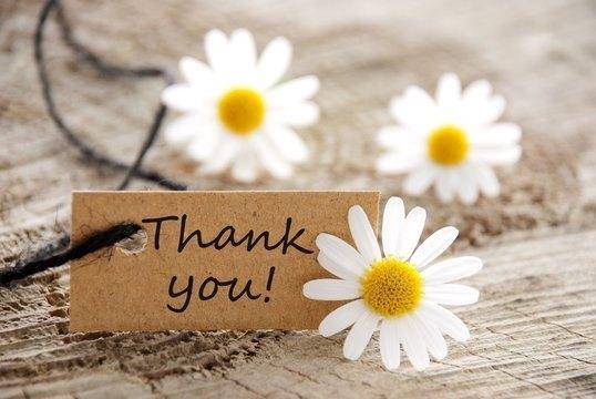 タウン