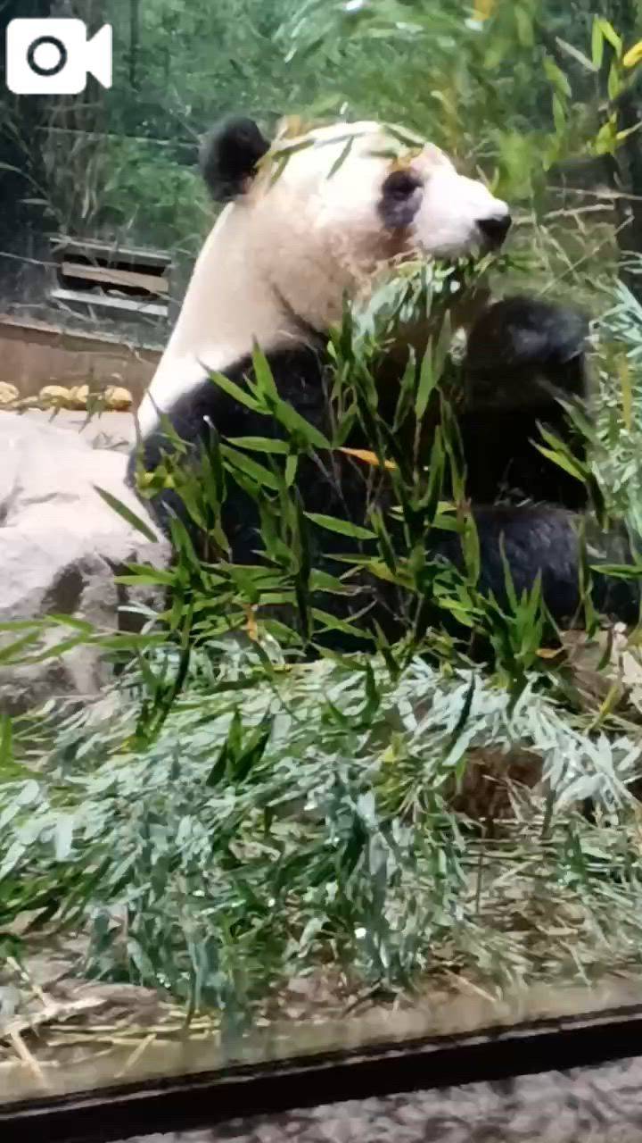 明日出勤します。