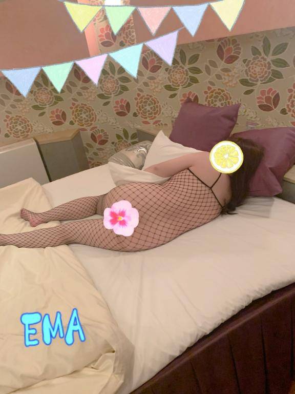 キテネ（╹◡╹）