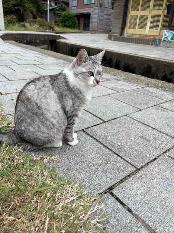 こんばんは😊