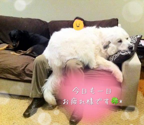 お題です☆from:守りたいこの寝顔さん