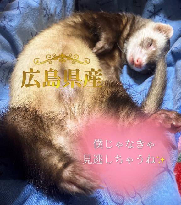 60分も戦えました✨️