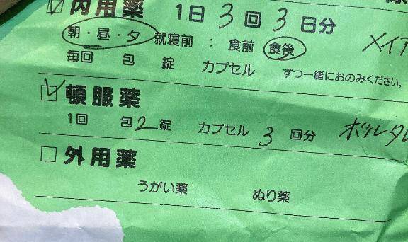 お休みです