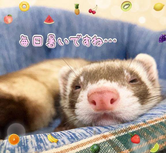 お題です☆from:夏は暑いじゃんさん