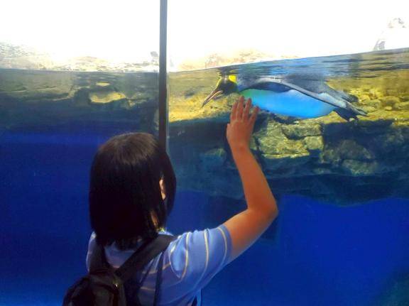 おはようございます☀️