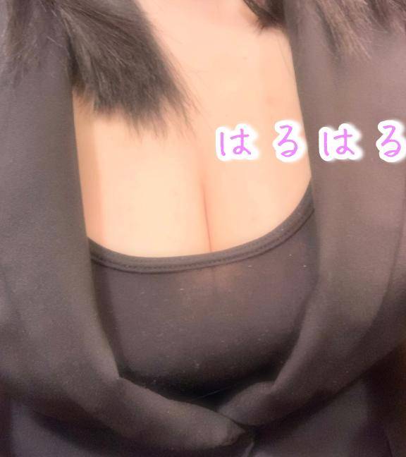 シティホテルのお客様🌷