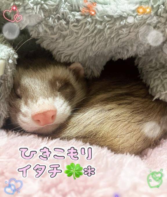 お題☆from:当たってた？さん