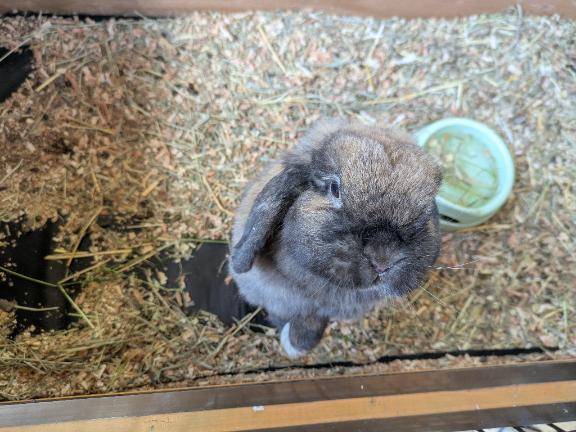 🤍10/27チョコレ本指名様🤍