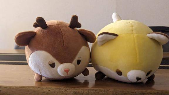 🤍11/18チョコレ本指名様🤍