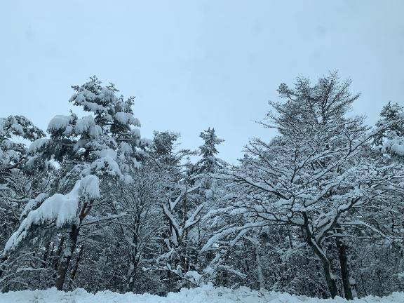明日最後の出勤♡