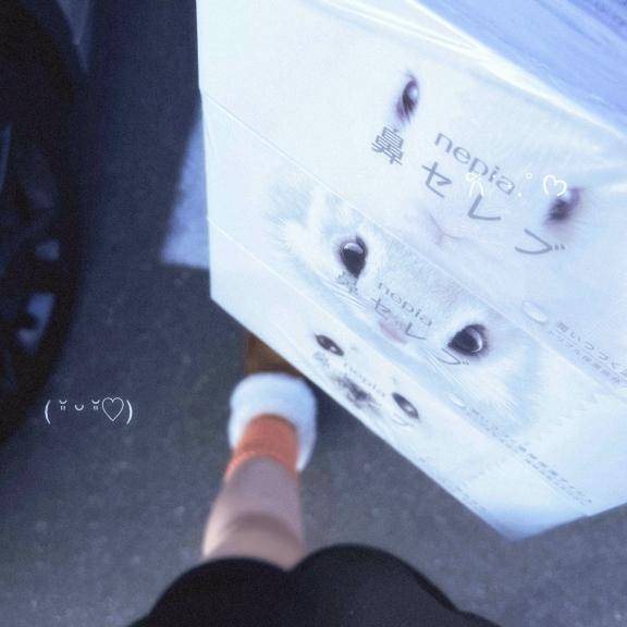 今日は休み〜🪼