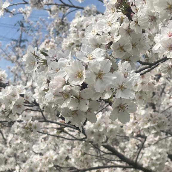 [お題]from:宴会部長さん