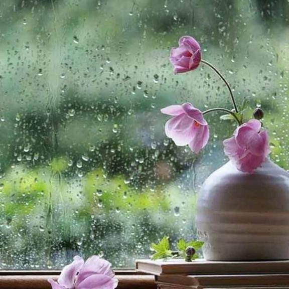 𝙎𝙤𝙧𝙧𝙮🥺՞՞