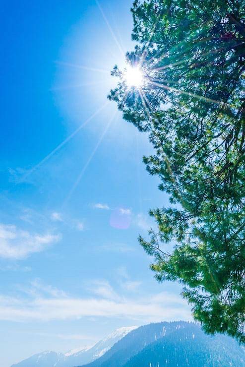 ✩˚。ᴴᴱᴸᴸᴼ…♡。゜.