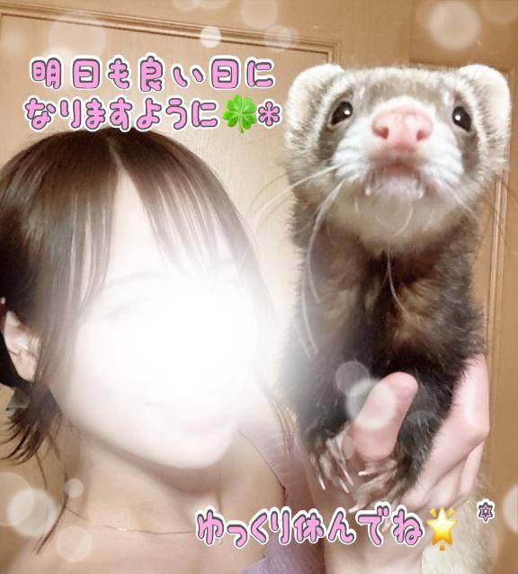 こんばんはです☆