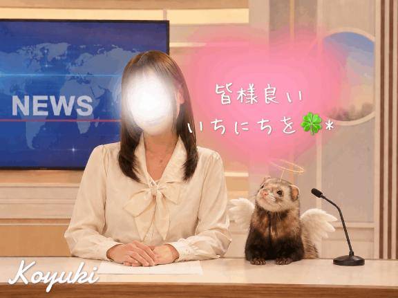 おはようございます☀️