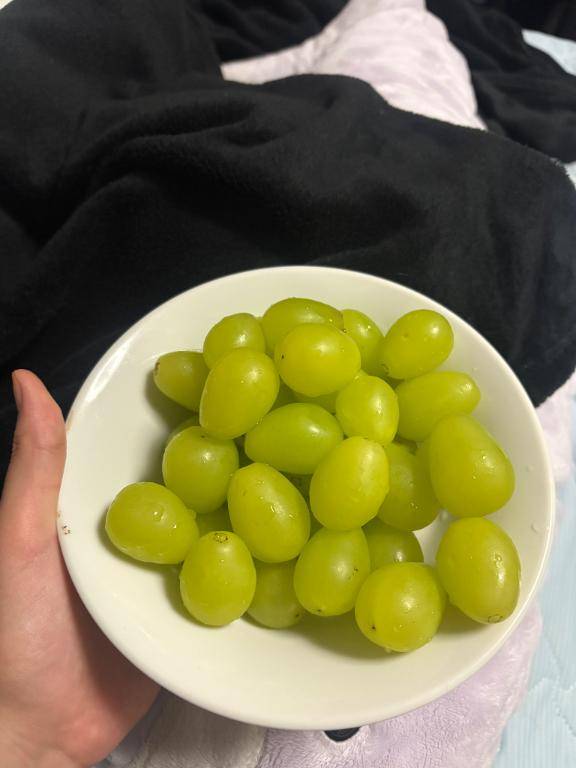 お兄様をΨ( 'ч' ?)??"??"