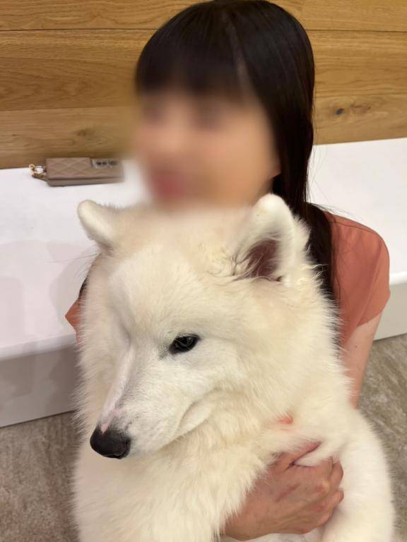 ☆今日のありがとう日記☆