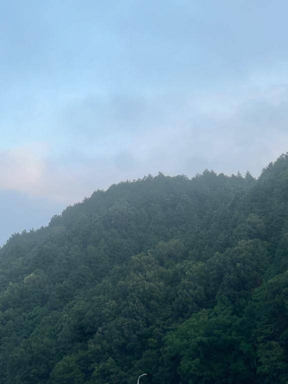 朝?