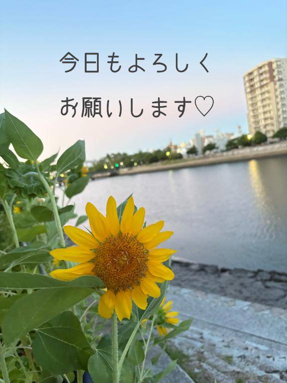 出勤します！