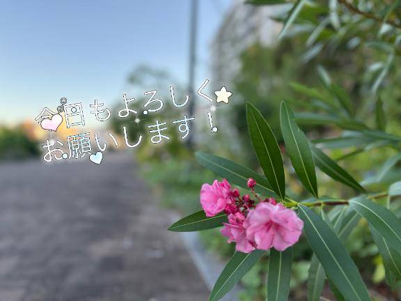 出勤です^ - ^
