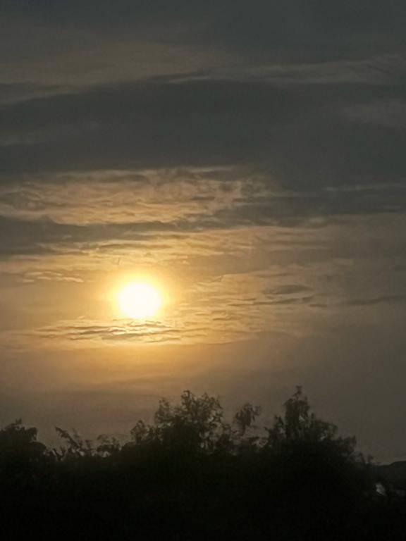 決まりました??