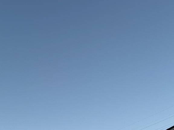 今日も。。。。