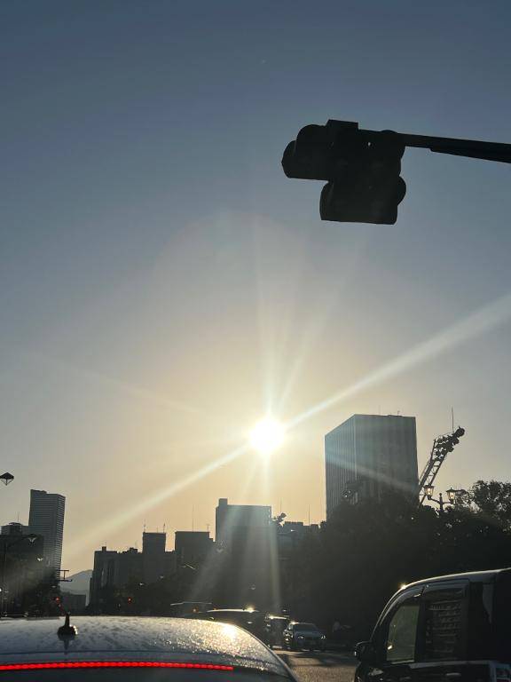 おはようございます。。。