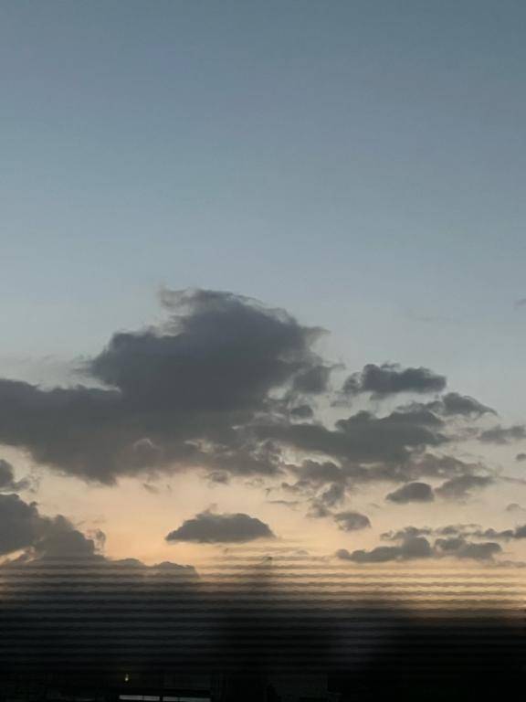 おはようございます