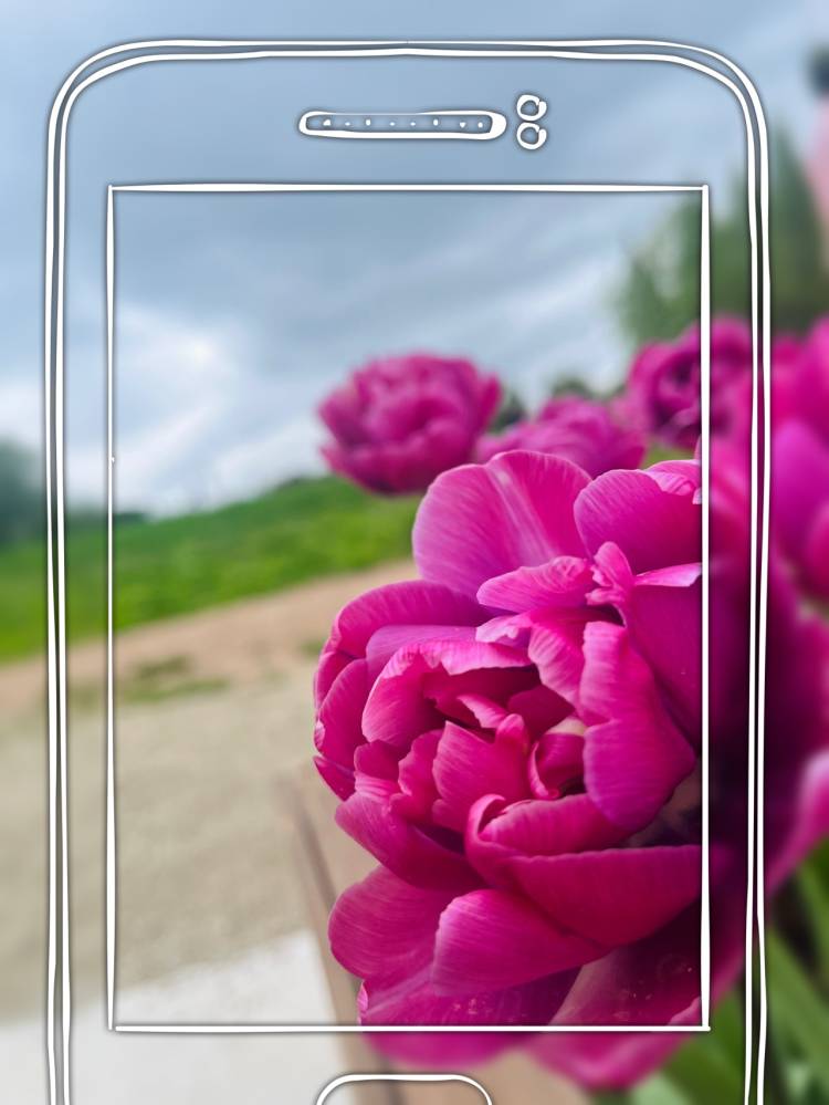 お休み中。。。