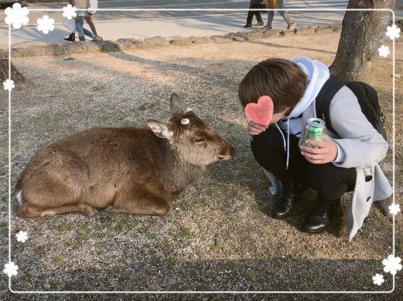 11/11 御自宅の方へ
