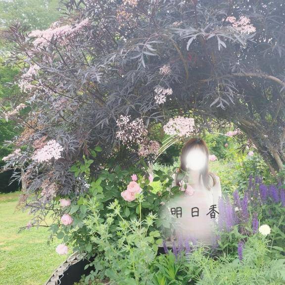 明日のご予約お礼?