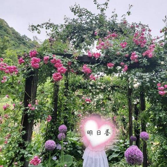 明日のご予約お礼?