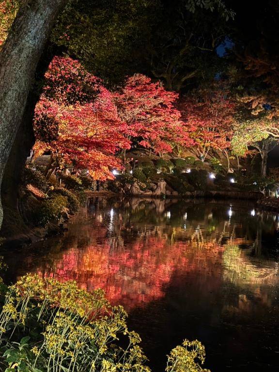 12/1 びぃ～なす の方へ