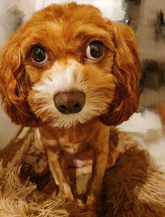 明けましておめでとうございます?