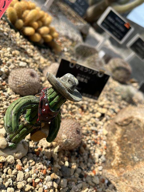 [お題]from:ナツメロばっかさん