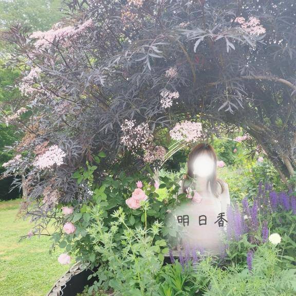 明日のご予約お礼?