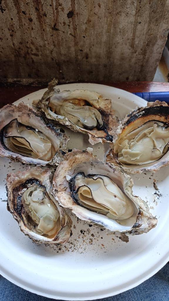 ☆一昨日のありがとう日記☆